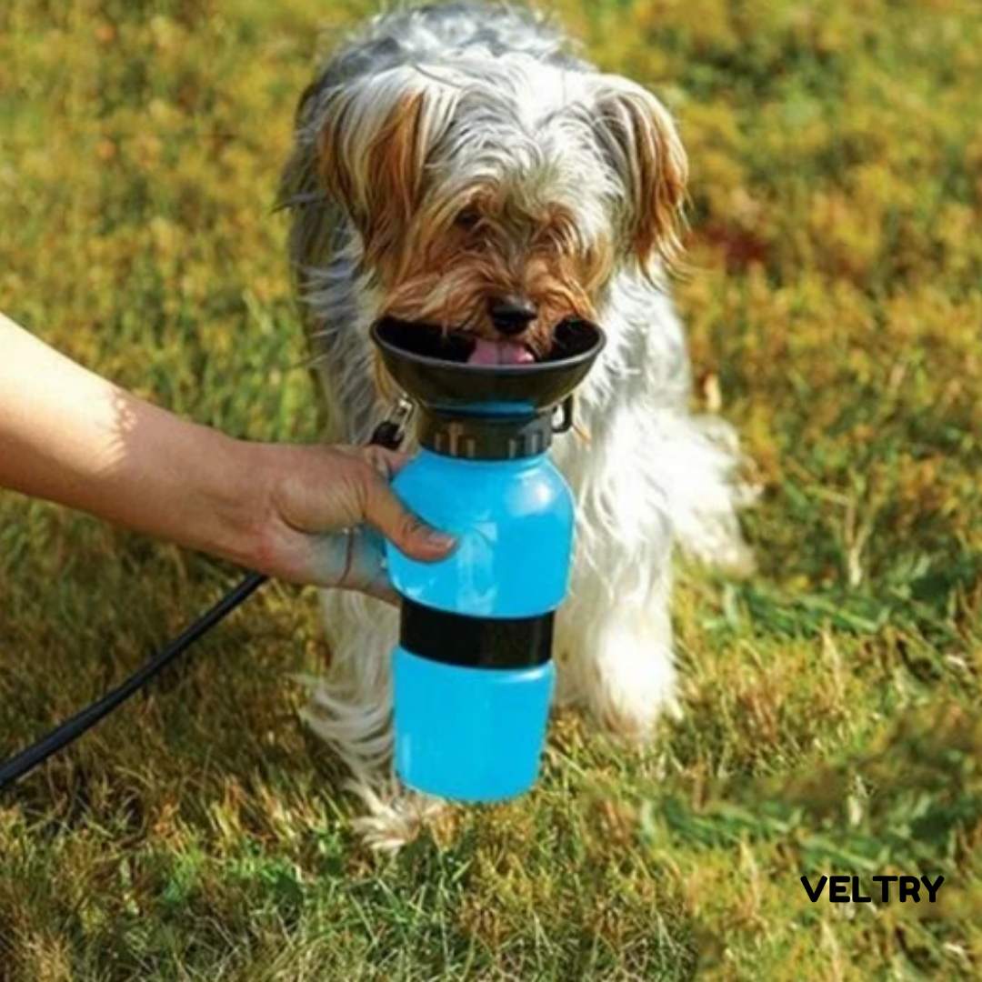 PawBottle™ | Frisches Wasser. Immer dabei. - Alenmo