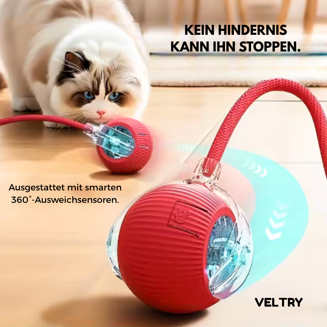 Cativation™ | Dein automatischer Katzen-Sitter - Alenmo