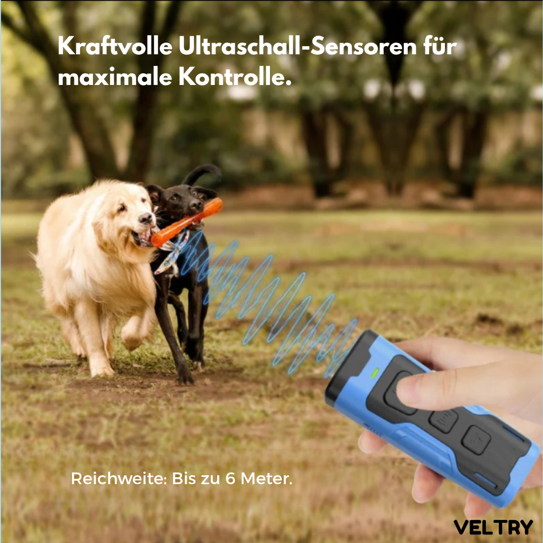 SonicLeash™ | Dein Klick zur Kontrolle. - Alenmo