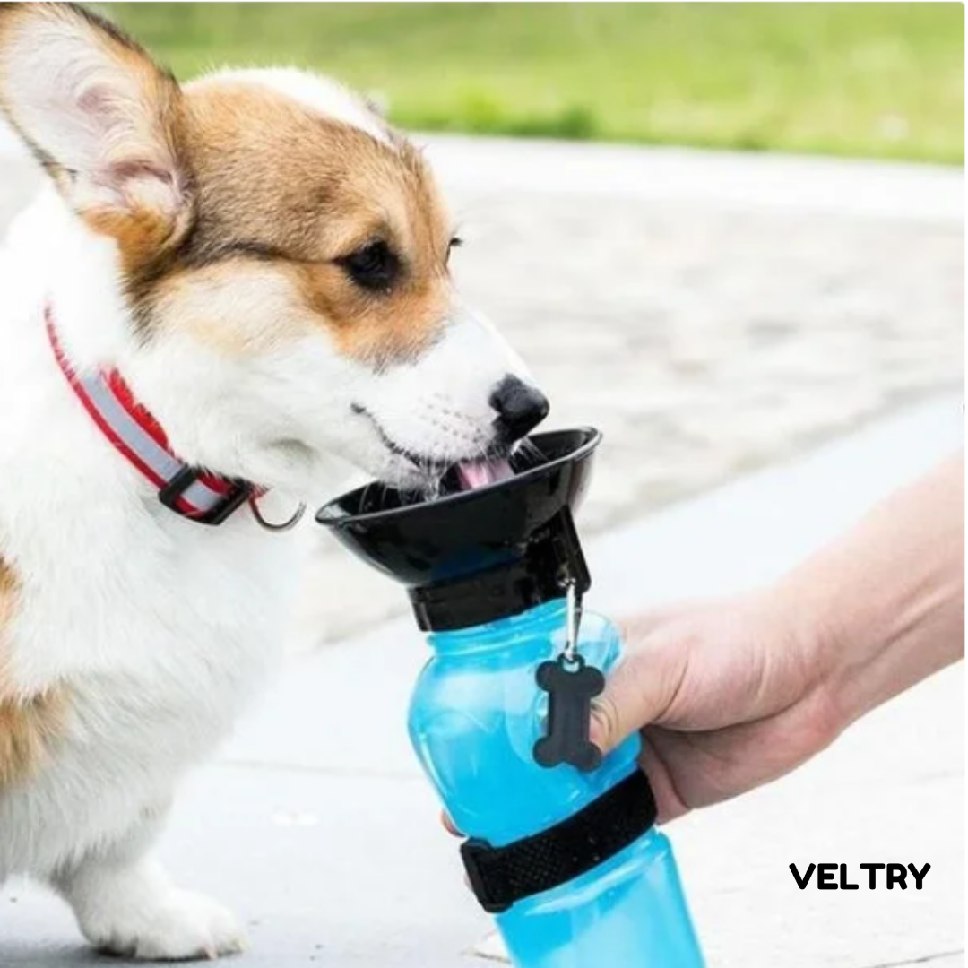 PawBottle™ | Frisches Wasser. Immer dabei. - Alenmo