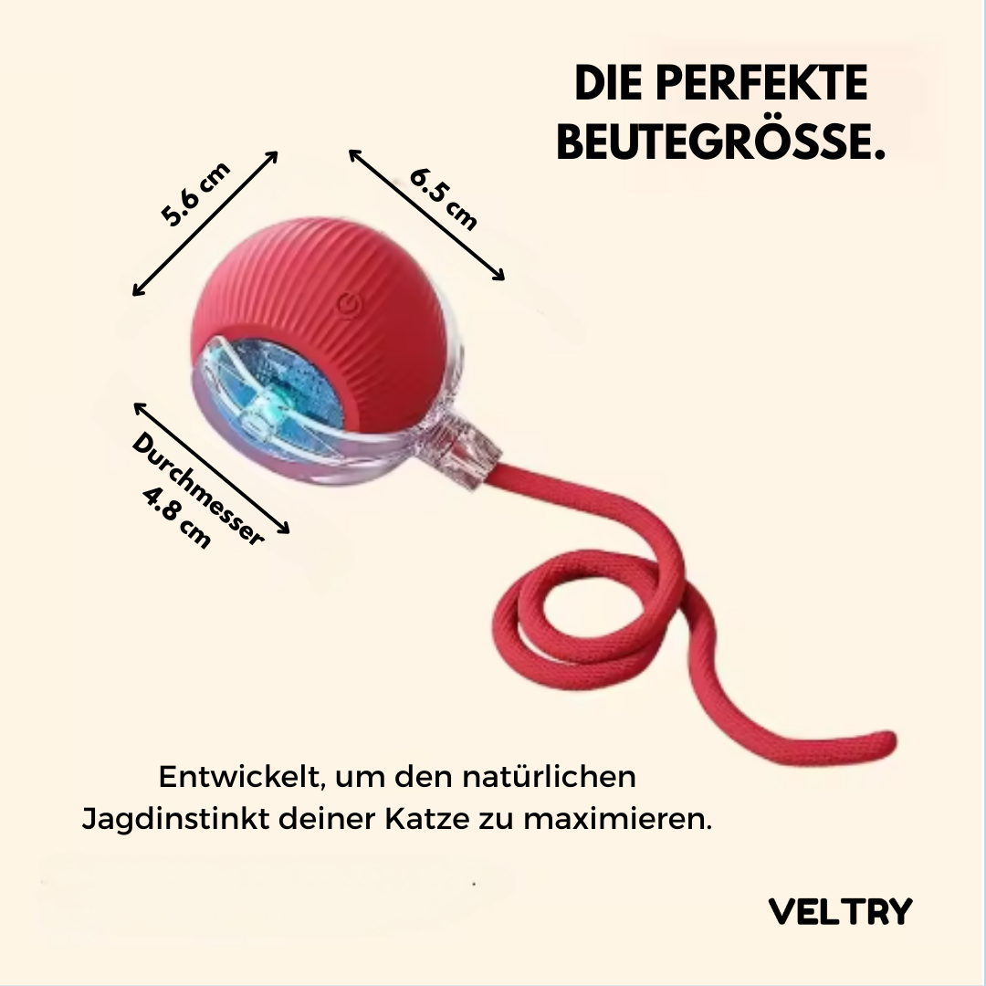 Cativation™ | Dein automatischer Katzen-Sitter - Alenmo