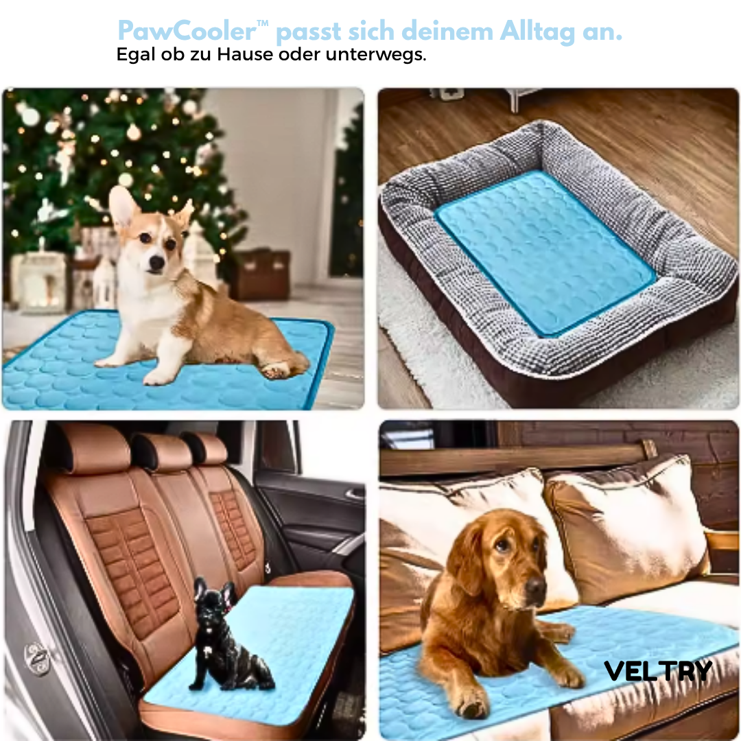 PawCooler™ | Kühlung für Fellnasen. - Alenmo