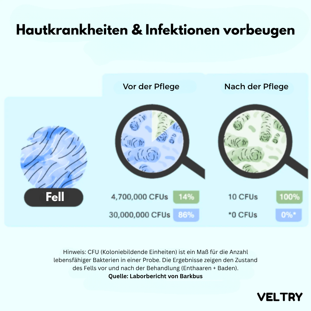 GroomPro™ | Die Nr. 1 Lösung gegen Tierhaare - Alenmo 
