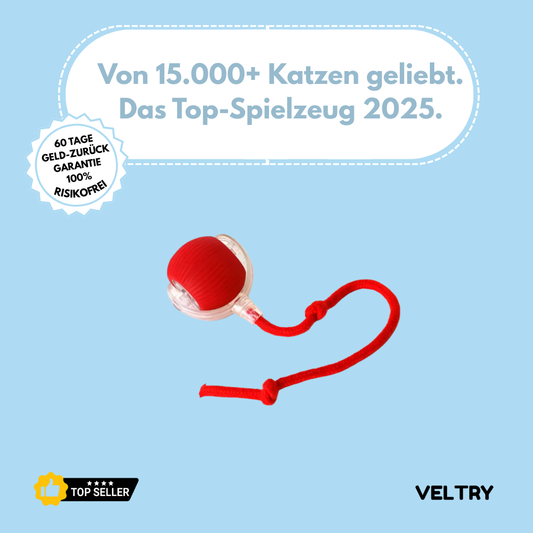 Cativation™ | Dein automatischer Katzen-Sitter - Alenmo 