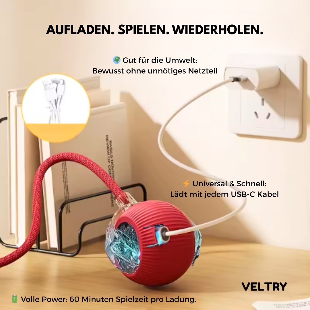 Cativation™ | Dein automatischer Katzen-Sitter - Alenmo 