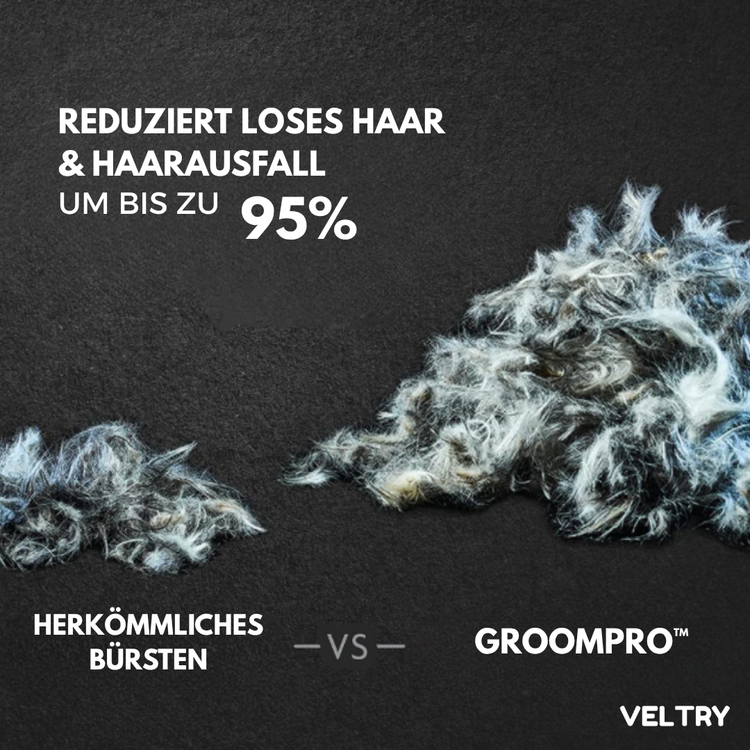 GroomPro™ | Die Nr. 1 Lösung gegen Tierhaare - Alenmo 